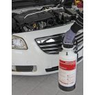 Birchmeier Clean-Matic 5 P compression hand sprayer