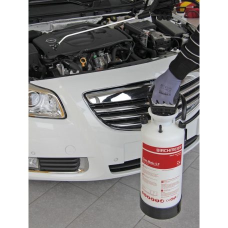 Birchmeier Clean-Matic 5 P compression hand sprayer