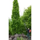 Birchmeier XL 8 S telescopic lance 7 m