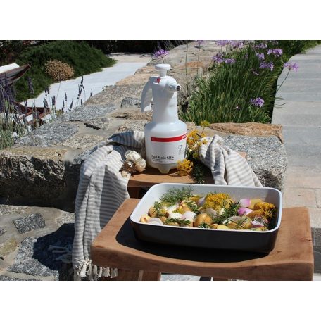 Birchmeier Food-Matic 1.25 P hand sprayer (with fanjet nozzle)