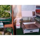 Birchmeier Food-Matic 1.25 P hand sprayer (with adjustable nozzle)