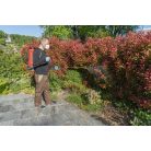 Birchmeier Flox 10 AD 1 backpack sprayer