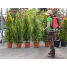 Birchmeier Flox 10 AD 3 háti permetezőgép