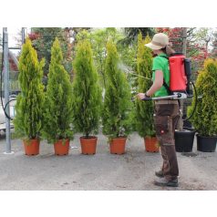 Birchmeier Flox 10 PD 1 backpack sprayer