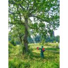 Birchmeier AS 1200 AC 1 battery spray blower (with battery + charger)