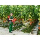 Birchmeier AS 1200 AC 1 battery spray blower (with battery + charger)