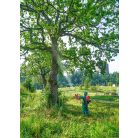 Birchmeier AS 1200 AC 2 battery spray blower (WITHOUT battery + charger)