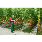 Birchmeier AS 1200 AC 2 battery spray blower (WITHOUT battery + charger)