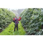 Birchmeier AS 1200 AC 2 battery spray blower (WITHOUT battery + charger)