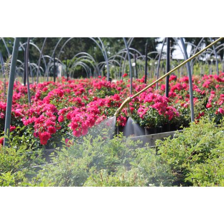 Birchmeier REX 15 AC 5 battery backpack sprayer (WITH battery but WITHOUT charger)