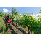 Birchmeier AS 1200 GR 1 battery spray blower (with battery + charger)