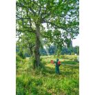 Birchmeier AS 1200 GR 1 battery spray blower (with battery + charger)