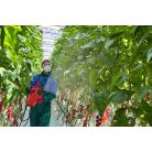 Birchmeier AS 1200 GR 2 akkus permetező/hidegködképző gép (akku és töltő NÉLKÜL)