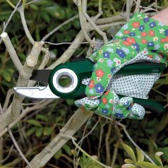 Draper Expert anvil secateur (195 mm)