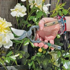 Draper Expert bypass secateur (210 mm)