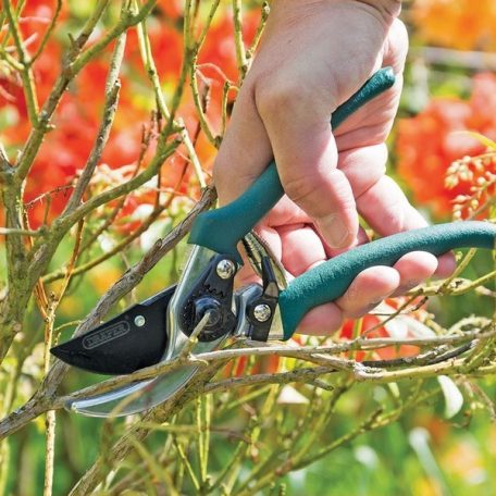 Draper Expert telescopic shear and secateur set