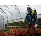 Marolex RX 12 battery backpack sprayer (with battery + charger)