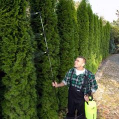 Marolex spray boom (vertical, 3 nozzles)