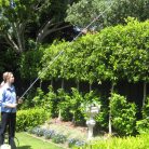 Marolex telescopic spray tube (aluminum) 1.6-3 meter